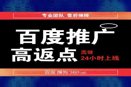 百度竞价排名之成功案例：看广告如何转化为销量